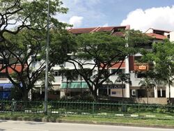 Hougang Avenue 1 (D19), Shop House #522563851